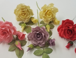 Wired rose spray - 2 week course