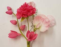 Freesias