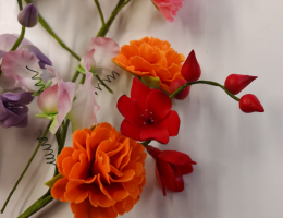Carnations