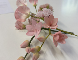 Freesias
