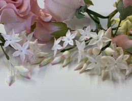Jasmine