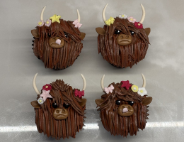 Piped highland cow cupcakes