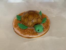 Mini turtle cake