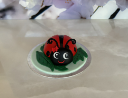 Mini ladybird cake